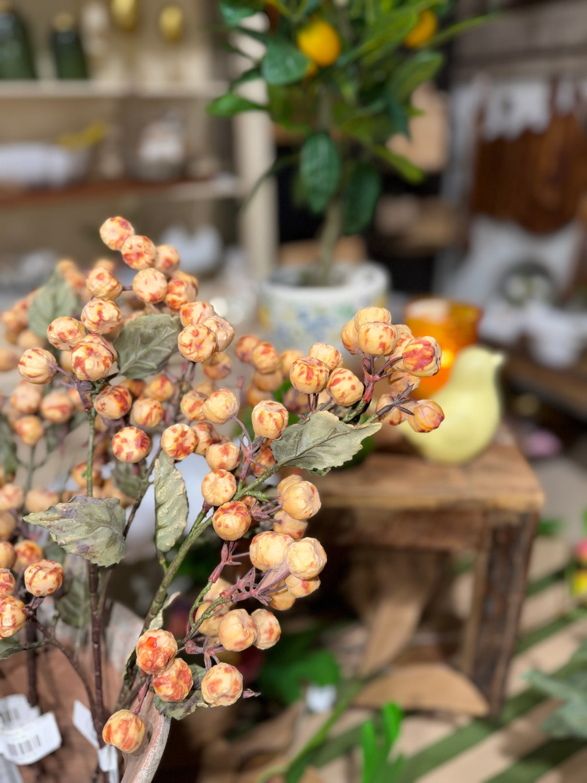 Dried Crabapple Stem Vanilla