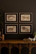 Framed Animal Prints