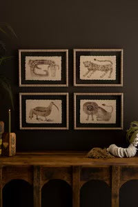 Framed Animal Prints