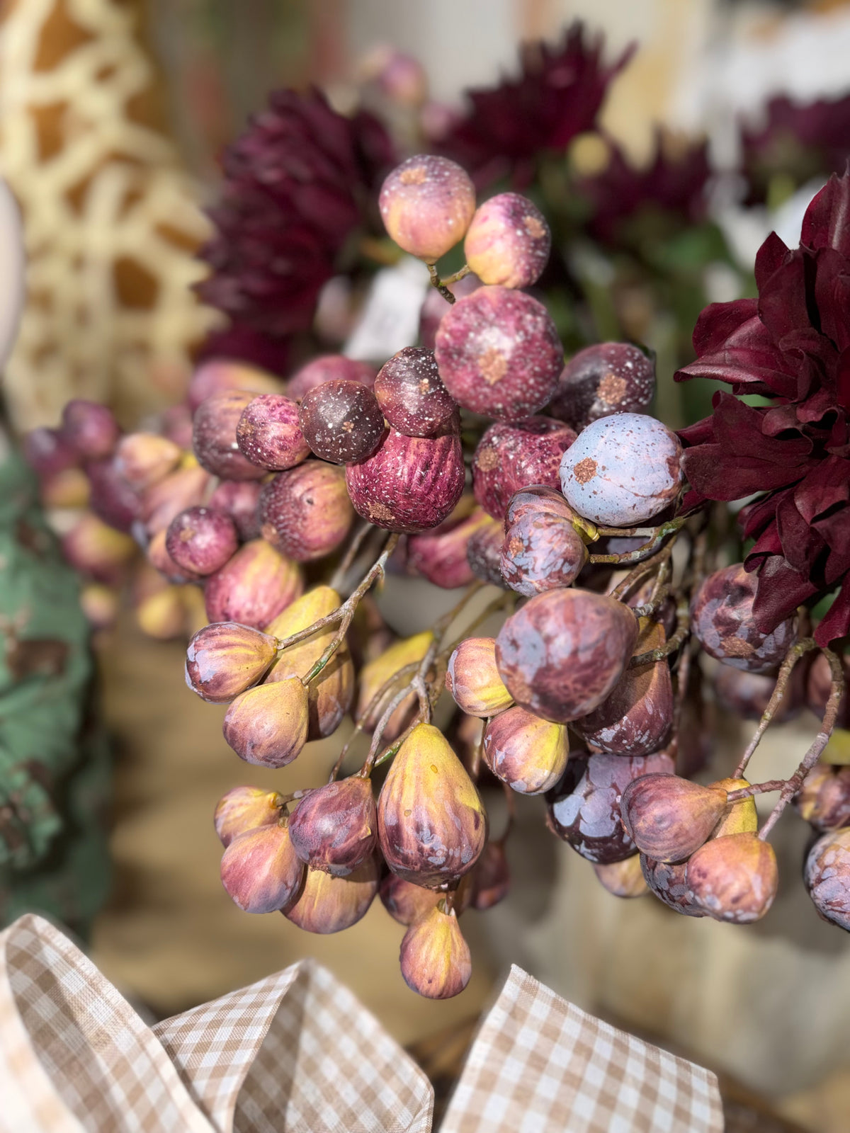 Bunching Fig Green Brown