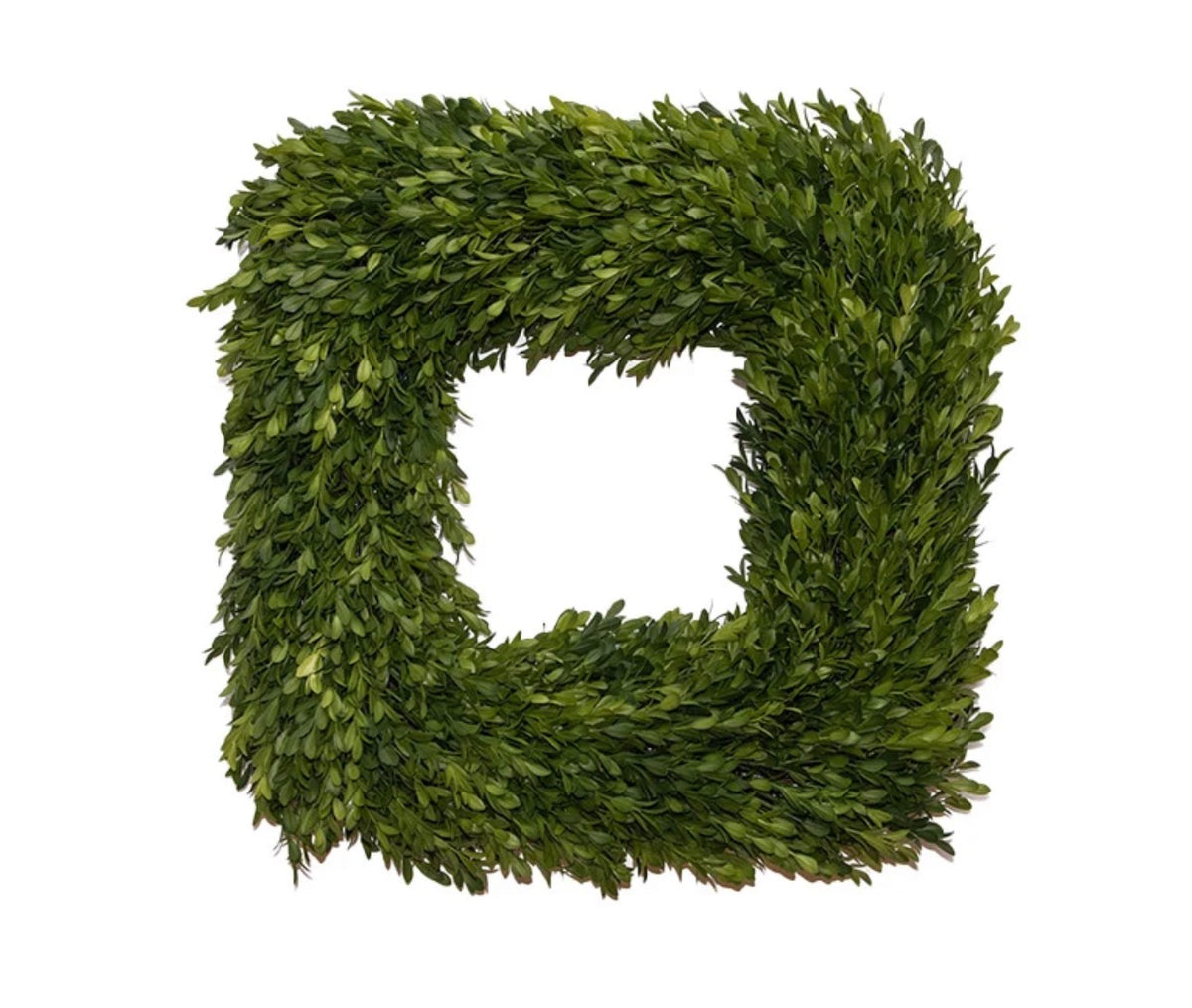 Square Boxwood Wreath 18”