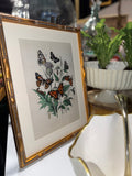 Burnley Matted Wall Frame 12x6