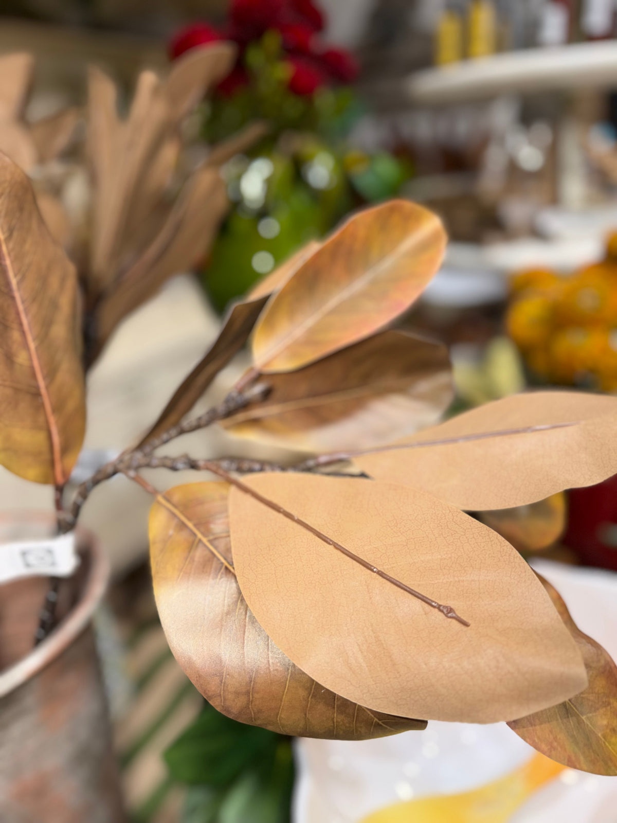 Magnolia Stem