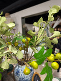 Kadota Fig