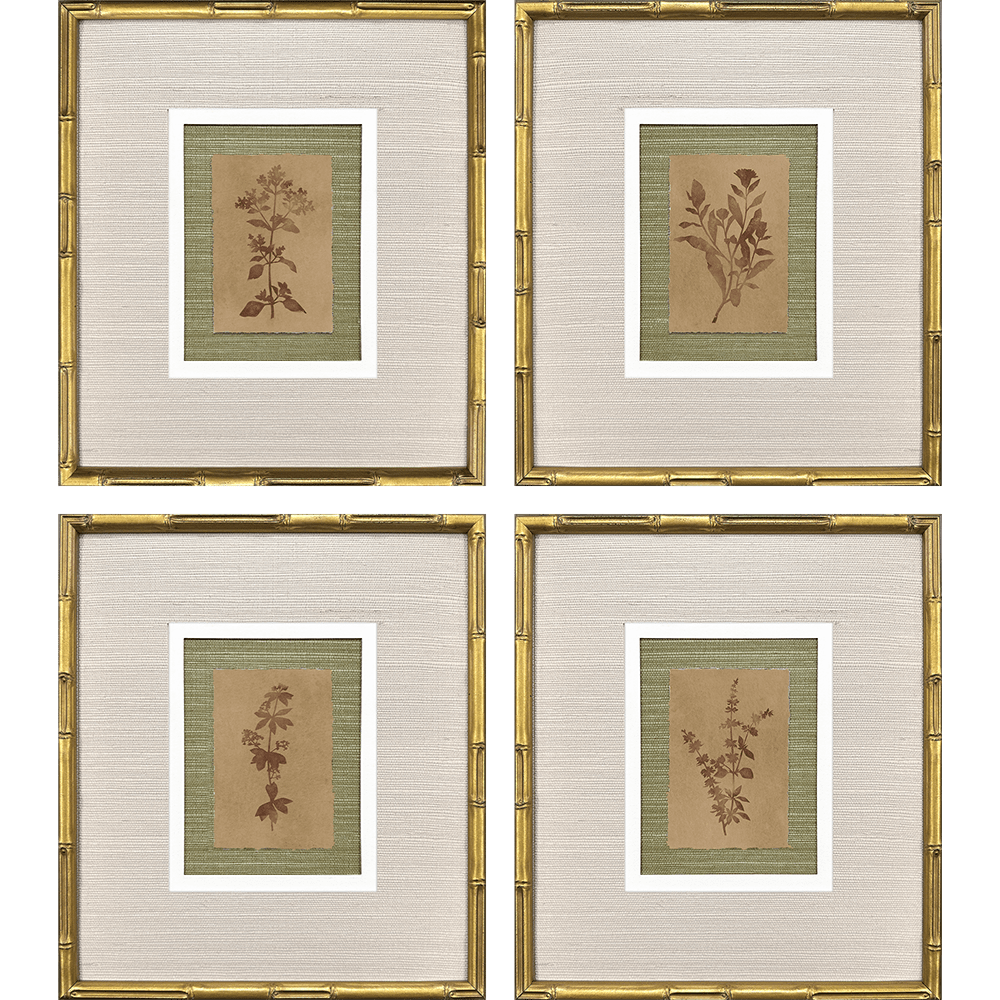 Organic Botanical Portraits