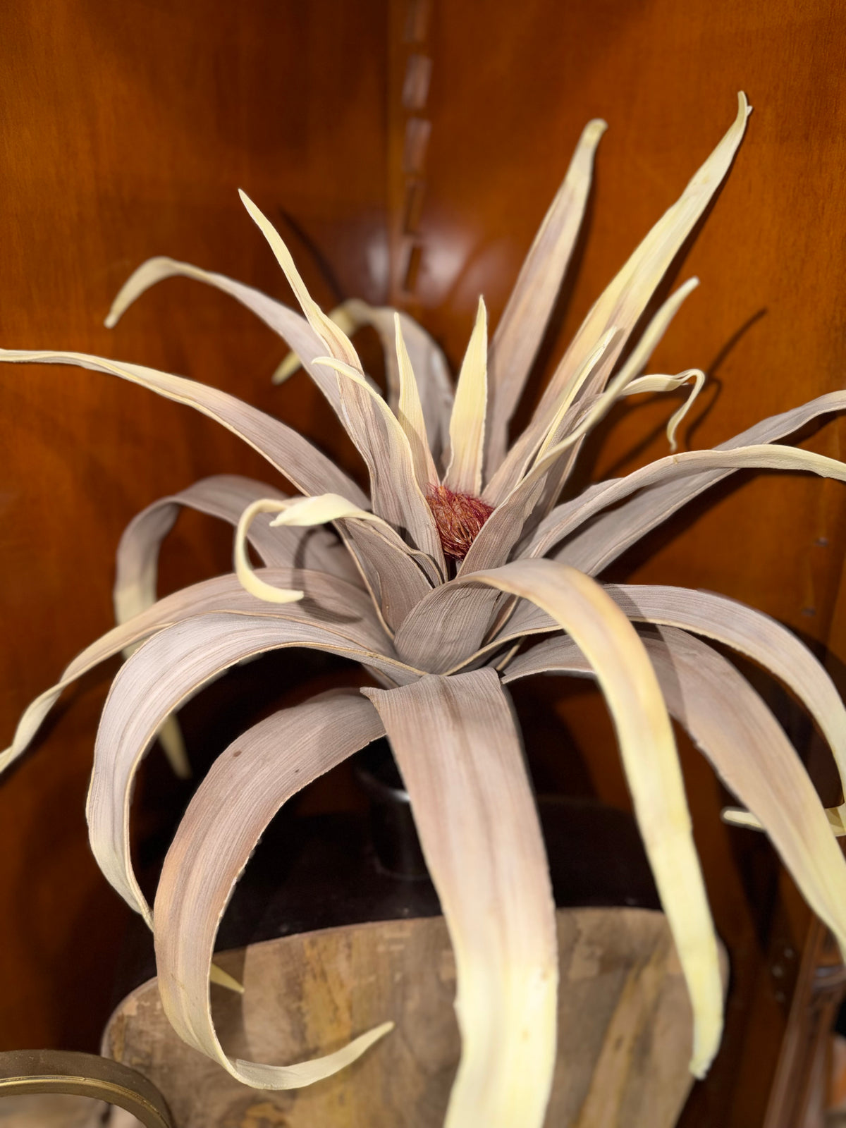 Botanica #2065