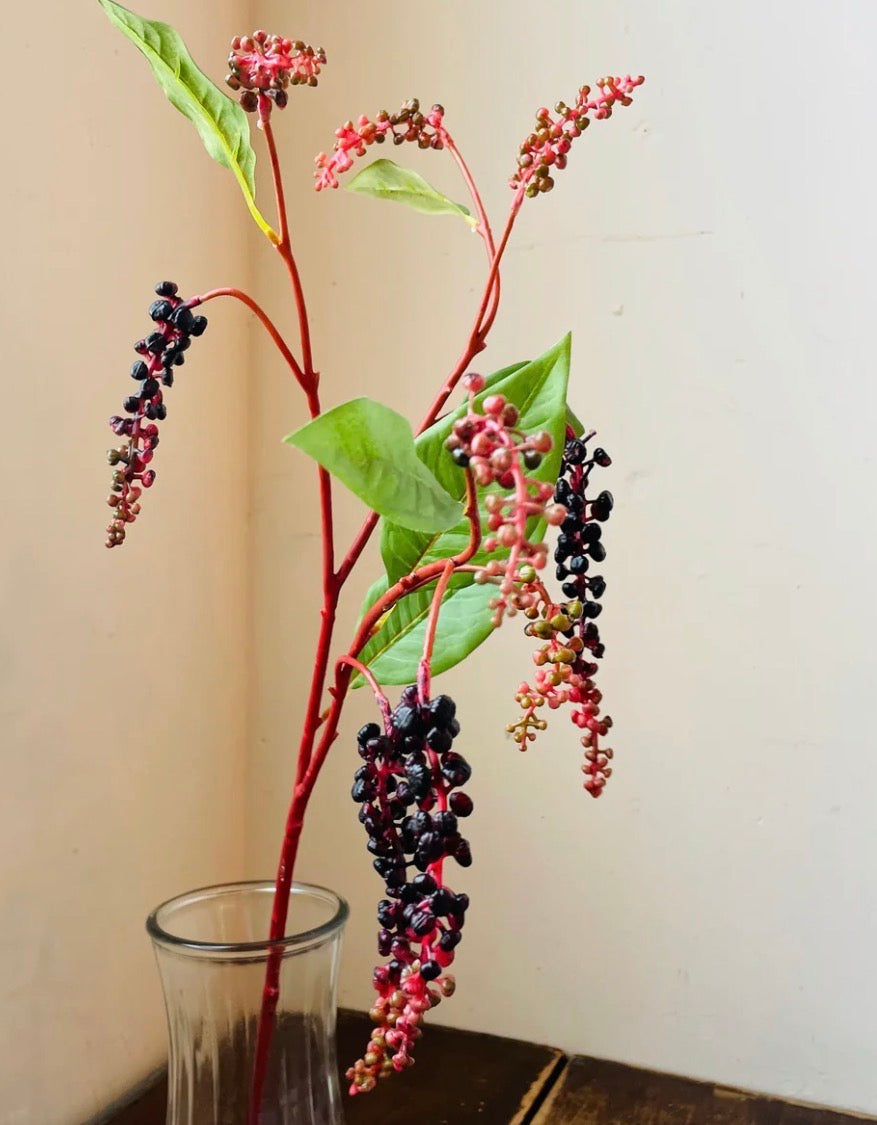 Poke Berry Stem