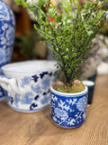 Providence Midi Pots