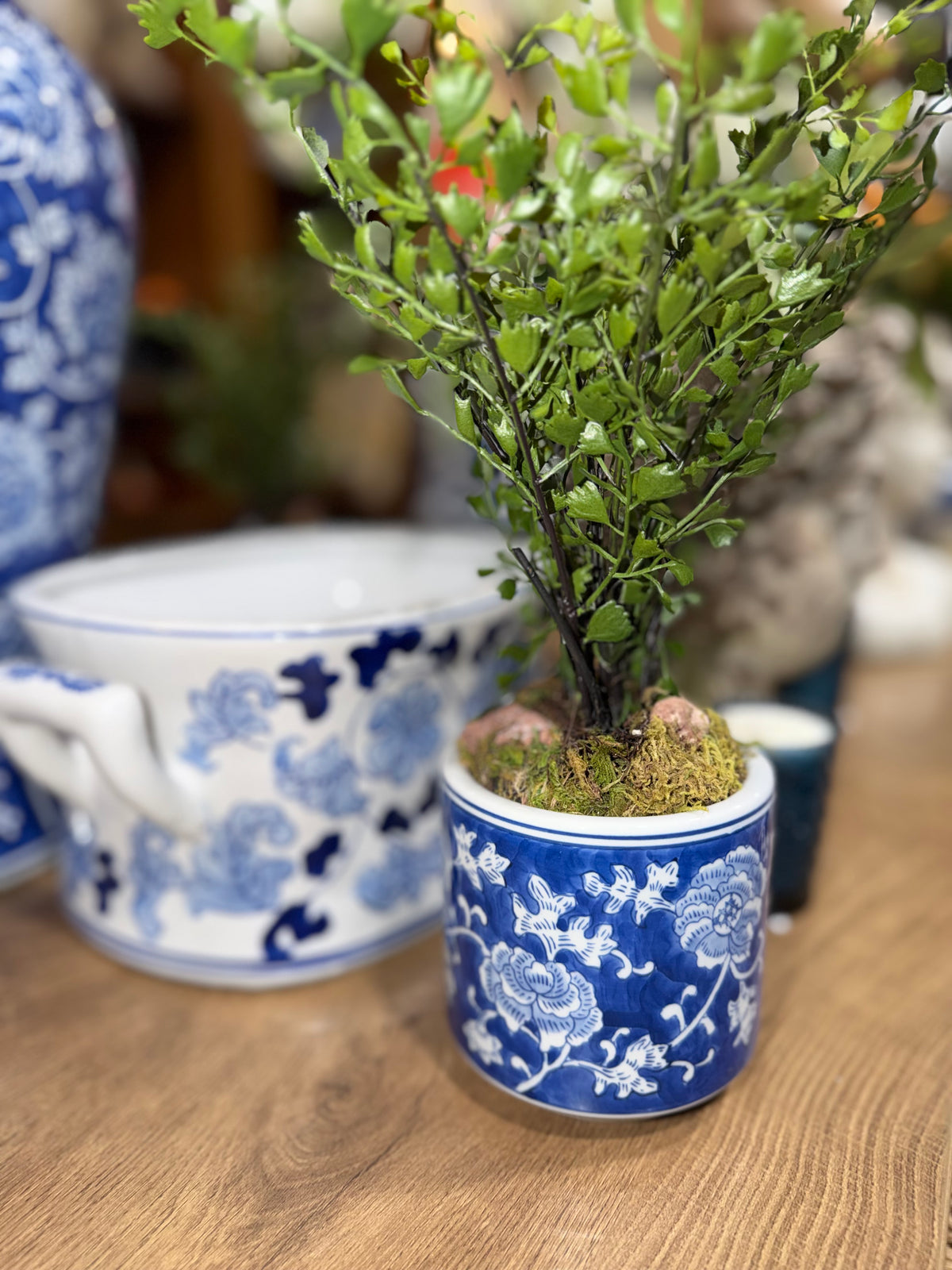 Providence Midi Pots