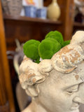 Mood Moss Ball Faux 3.5”