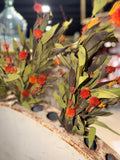 Botanica #2818