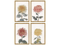 The Chrysanthemum Portraits