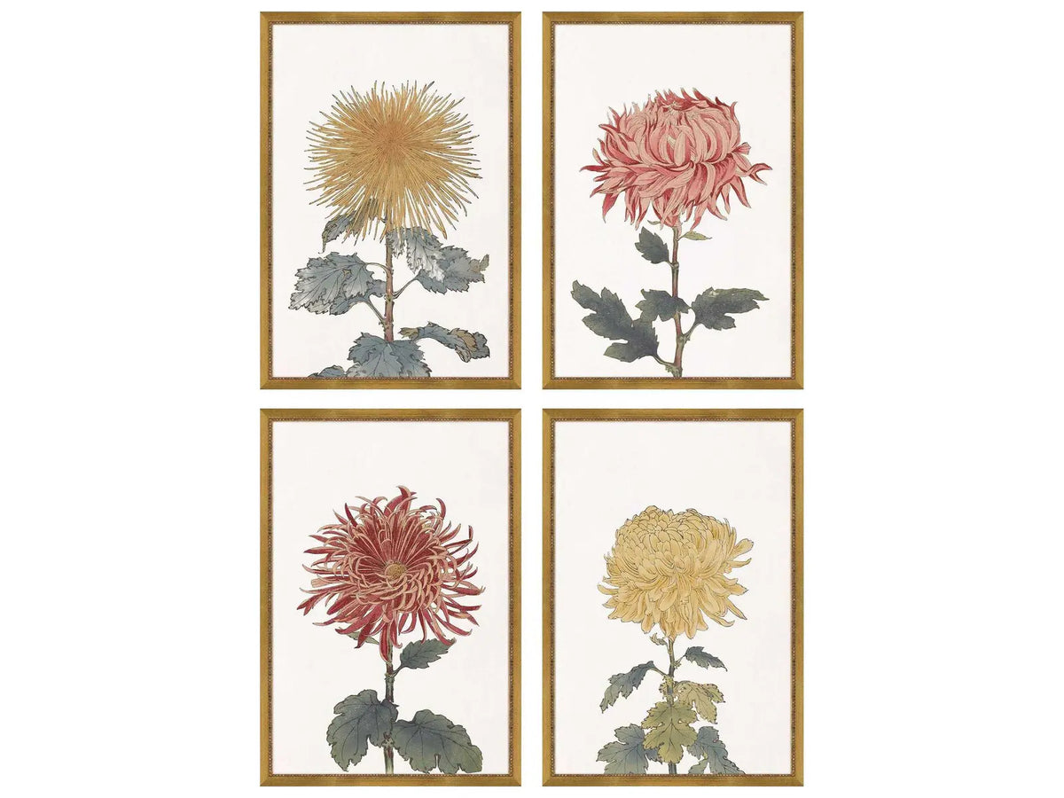 The Chrysanthemum Portraits