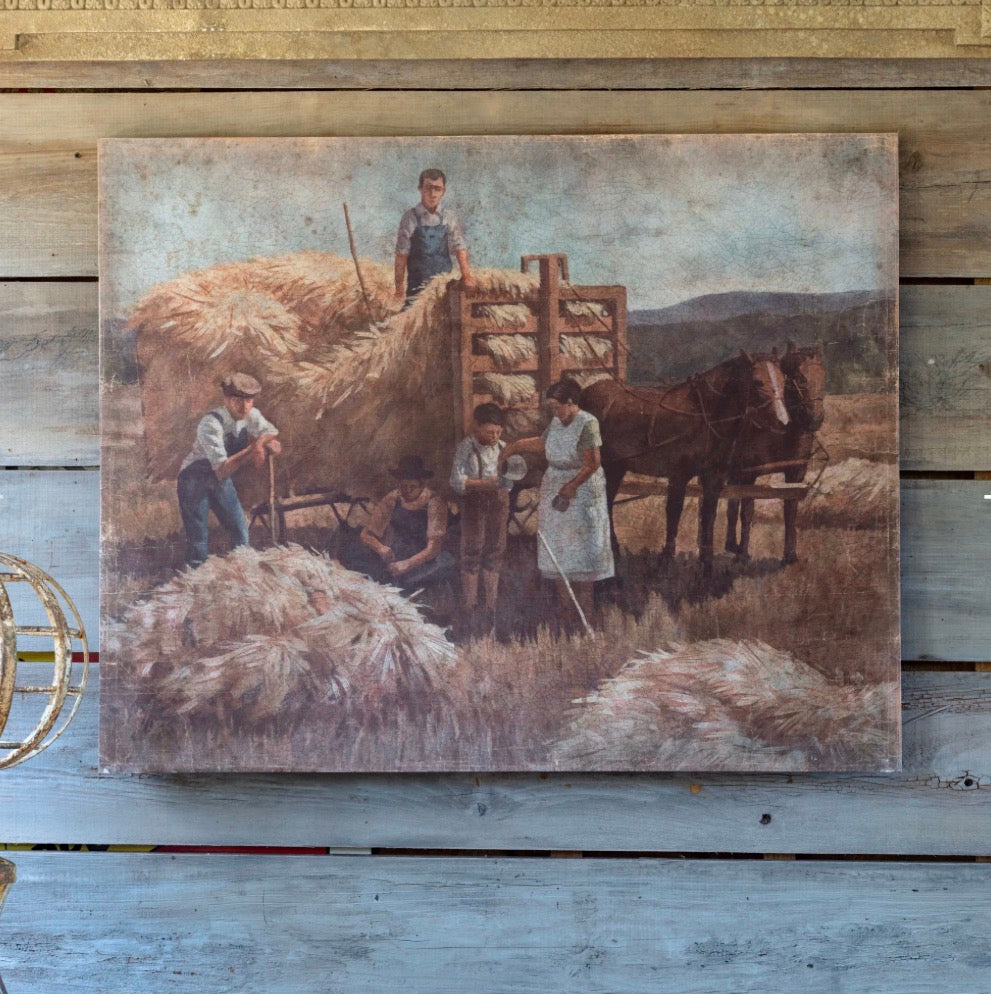 Harvest Family Gallery