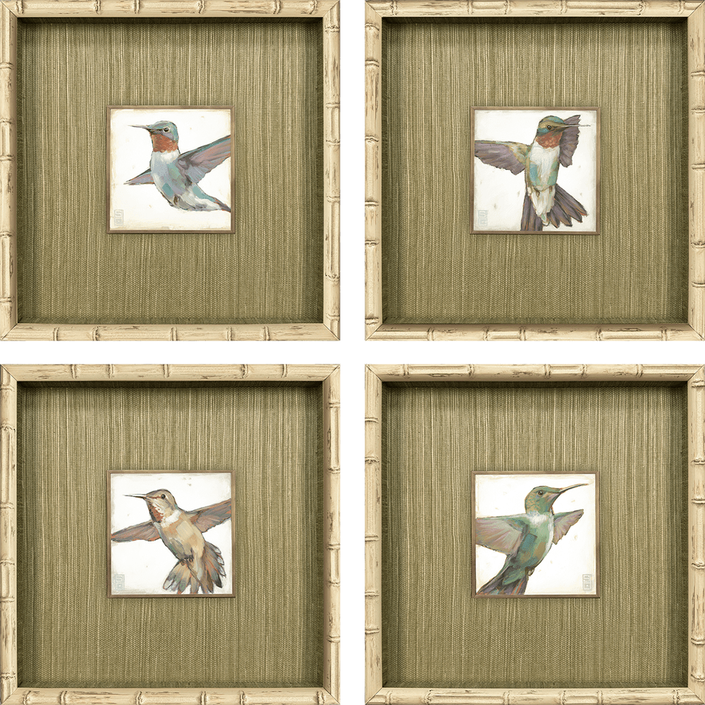 Hummingbird Flight Portraits