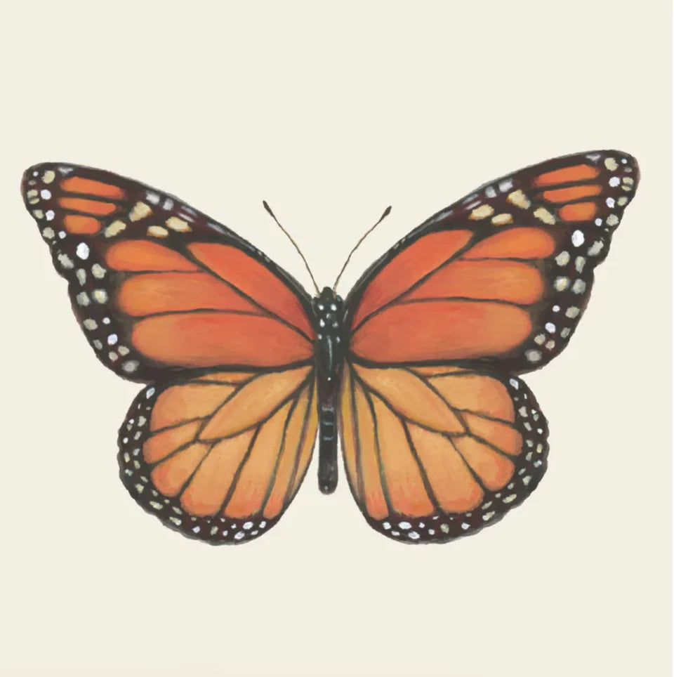 Butterfly Cocktail Napkin